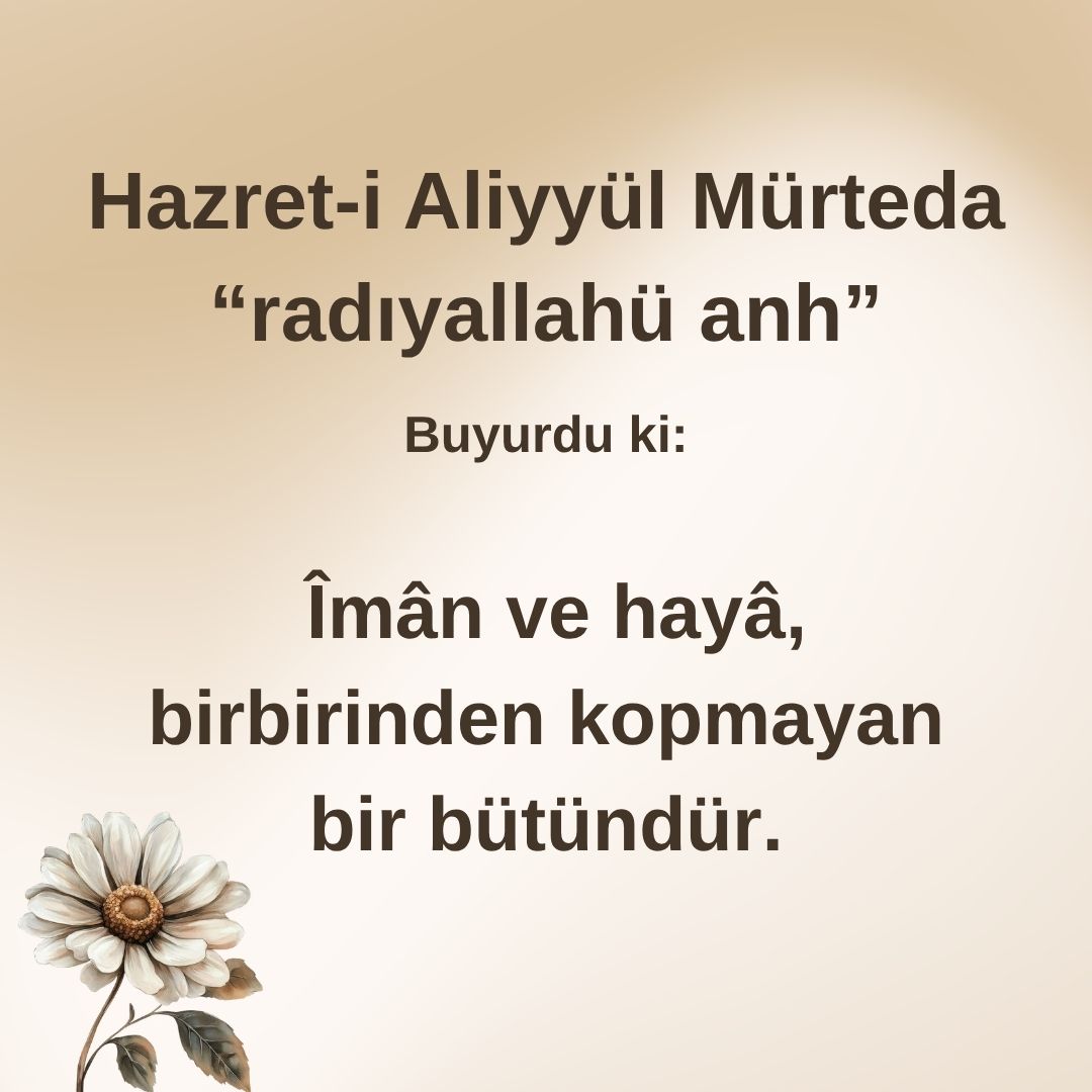 Aliyyül Mürteda (69)